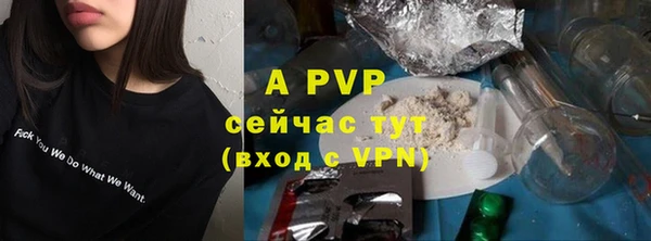 jwh Вяземский